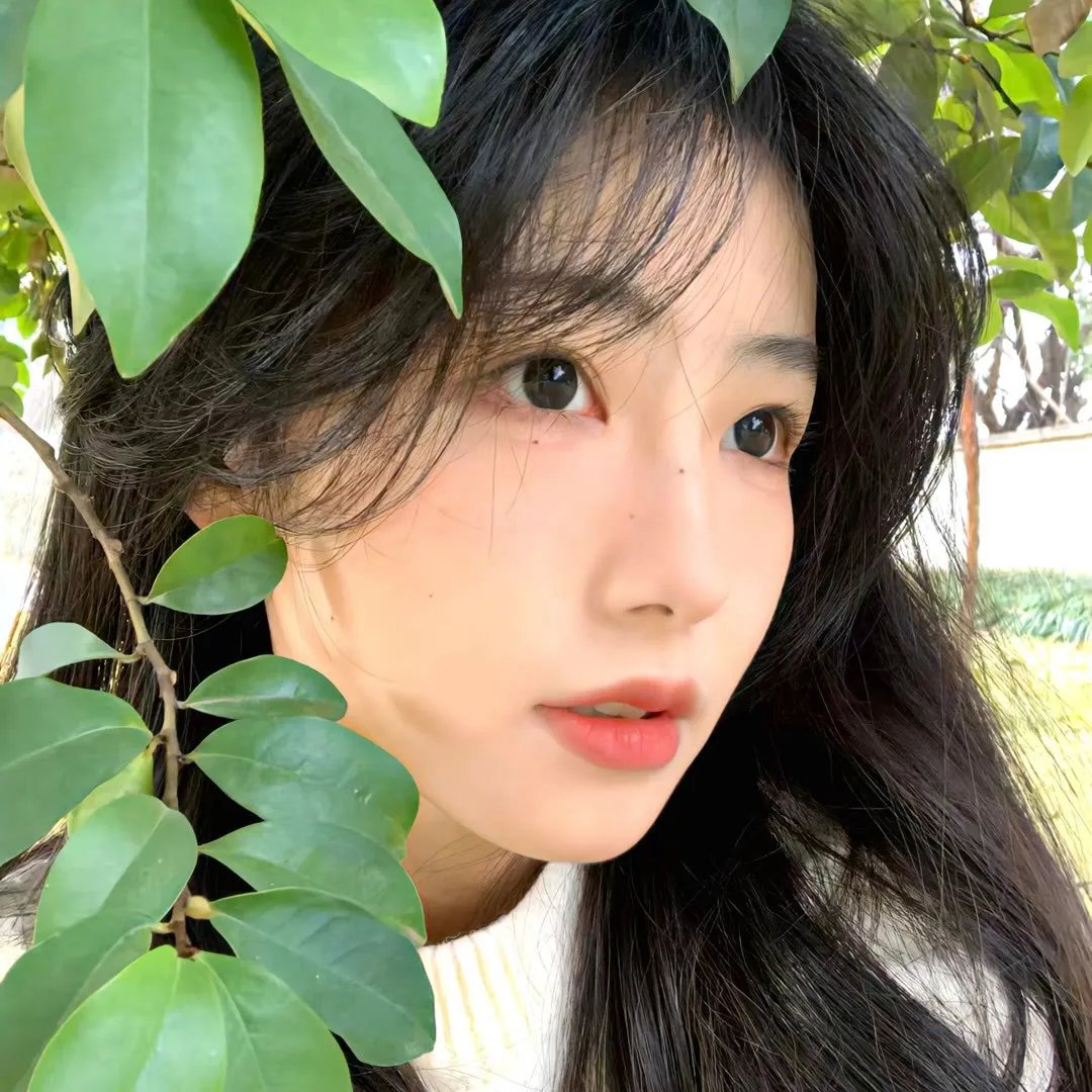 隔窗未了缘